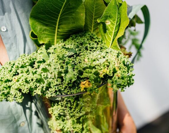 Overzicht van groenten met weinig tot veel vezels per 100 gram